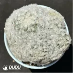 Cactus-Mammillaria bocasana Clustering