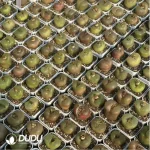 Conophytum-maughanii