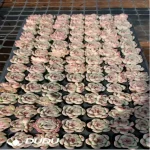 105Pcs/Tray Echeveria Soul Fairy Seedlings(Mix & Match 5+)