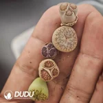 Lithops Mercedes-Benz - Image 3