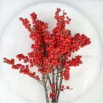 Europe Hongguo holly Oosterwijk - Image 3