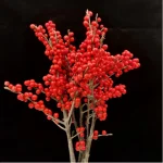 Europe Hongguo holly Oosterwijk - Image 4