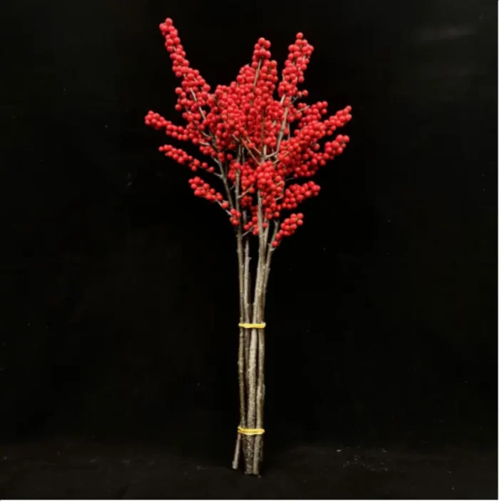 Europe Hongguo holly Oosterwijk - Image 5