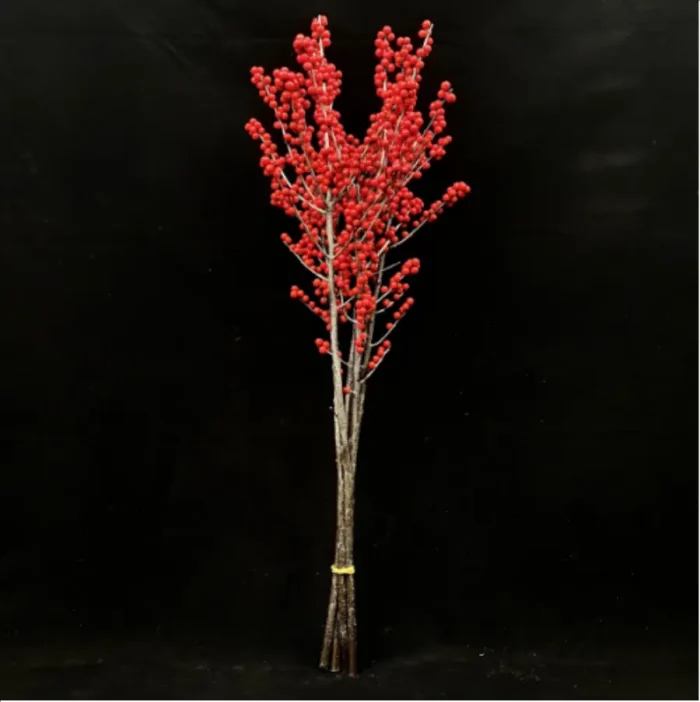 Europe Hongguo holly Oosterwijk - Image 6