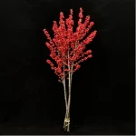 Europe Hongguo holly Oosterwijk - Image 6