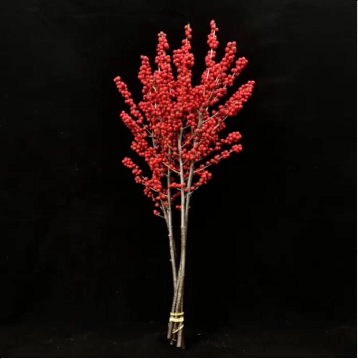 Europe Hongguo holly Oosterwijk - Image 6