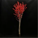 Europe Hongguo holly Oosterwijk - Image 7