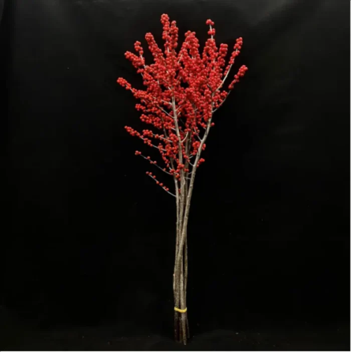 Europe Hongguo holly Oosterwijk - Image 8