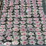 105Pcs/Tray Echeveria Blueberry Seedlings(Mix & Match 5+)