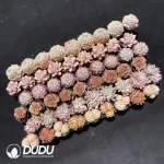 Echeveria DUDU Collection 2081 - Image 2