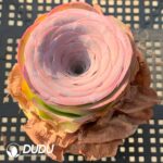 Aeonium Greenovia JIng Huang