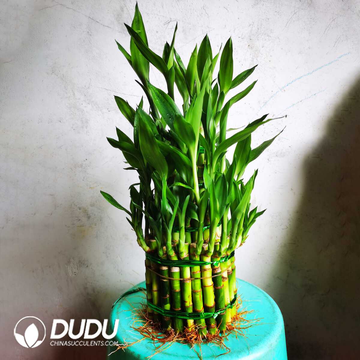 1749190467-e201.jpg Bamboo tower with four big floors - Image 1