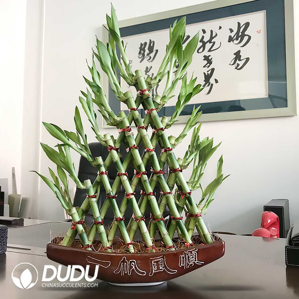 1749190519-e201.jpg Pyramid shape Lucky Bamboo (6 layers) - Image 1