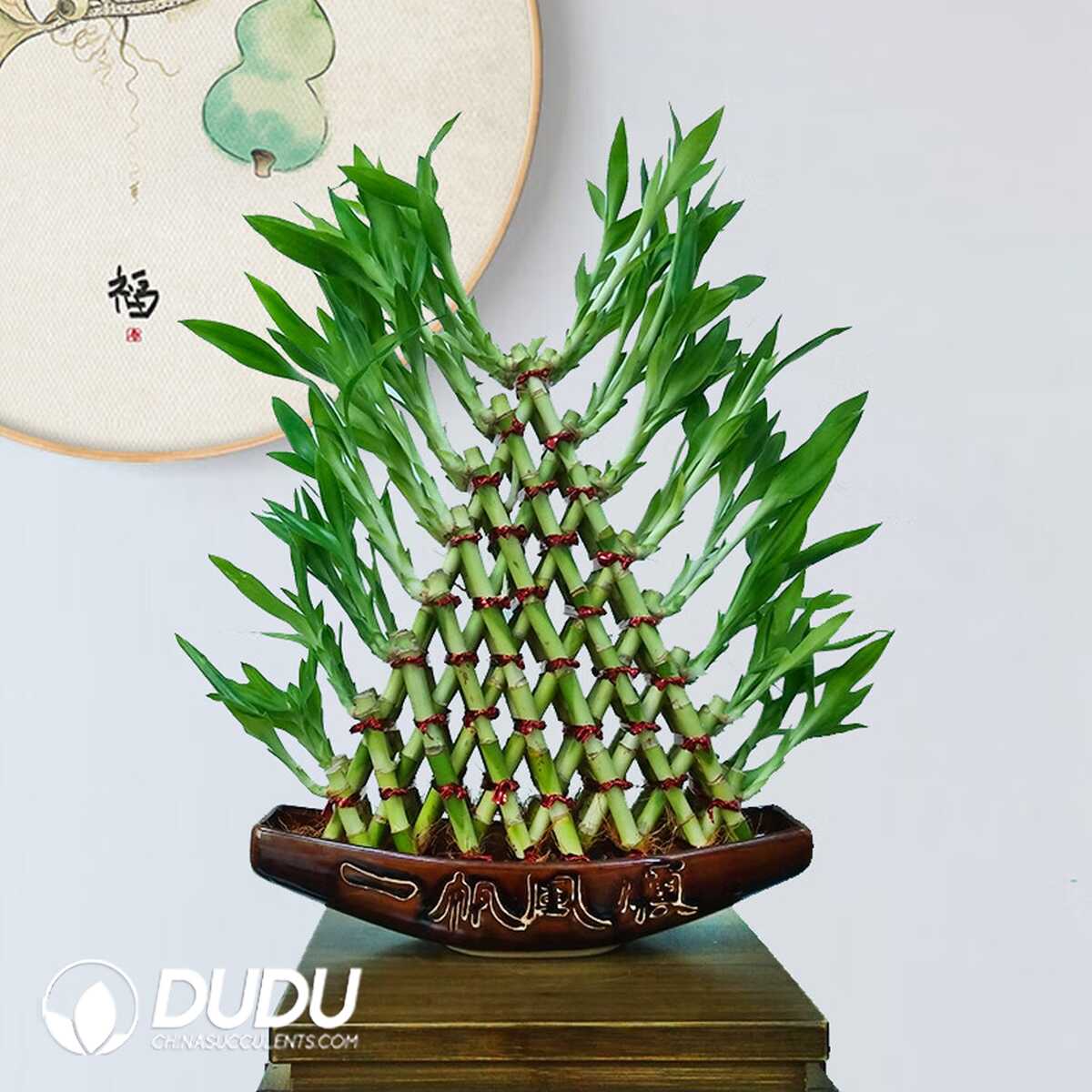 1749190531-e201.jpg Pyramid shape Lucky Bamboo (8 layers) - Image 1