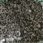 100Pcs Aloe polyphylla Seeds - Image 2