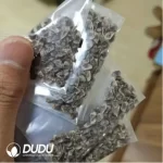 10Pcs Aloe polyphylla Seeds - Image 2