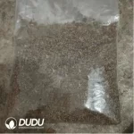 500Pcs Cactus-Gymnocalycium vatteri Seeds - Image 2